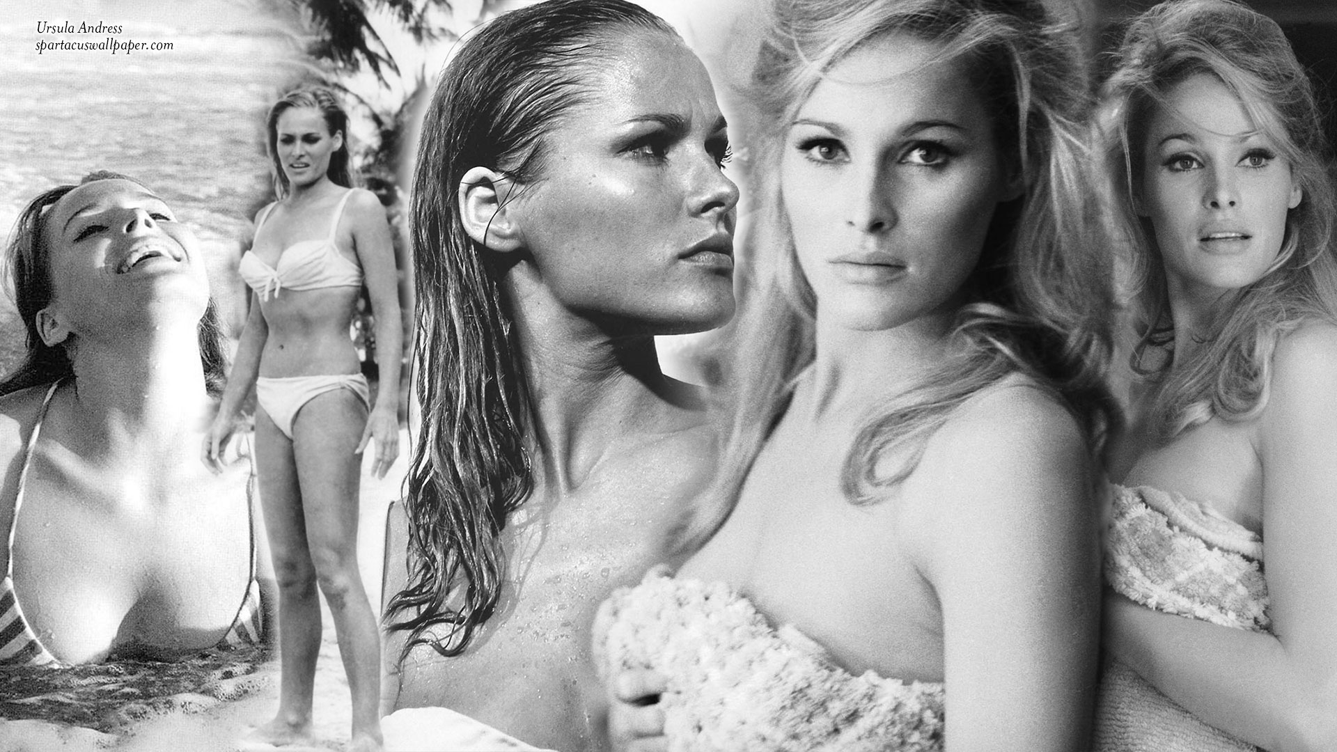 Wallpaper ursula andress